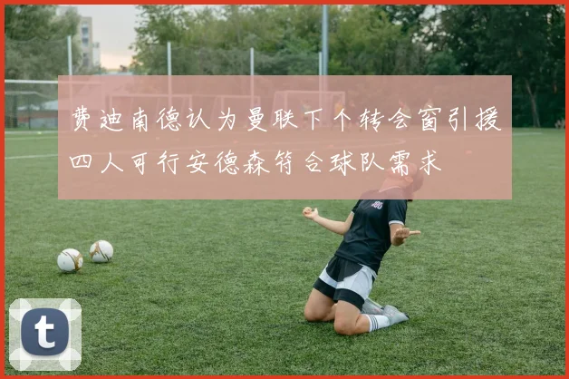 费迪南德认为曼联下个转会窗引援四人可行安德森符合球队需求