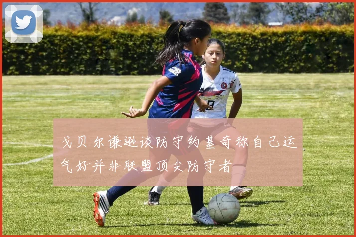 戈贝尔谦逊谈防守约基奇称自己运气好并非联盟顶尖防守者