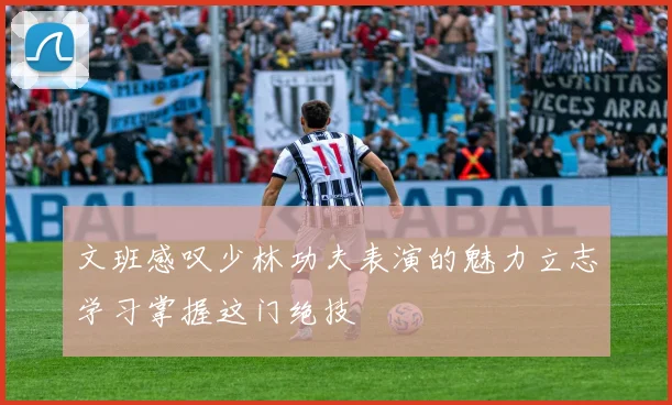 文班感叹少林功夫表演的魅力立志学习掌握这门绝技