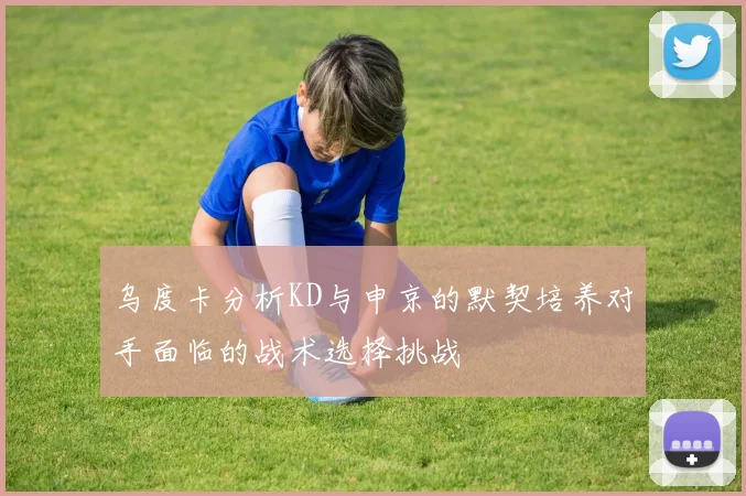 乌度卡分析KD与申京的默契培养对手面临的战术选择挑战