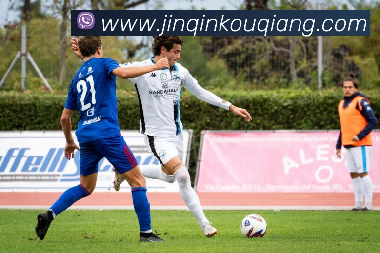 星空官方登录网站发展历程